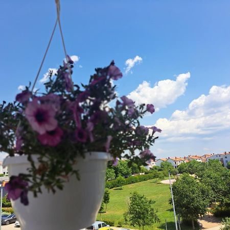 Apartament Battistella'S Near The Sea Rovinj Zewnętrze zdjęcie