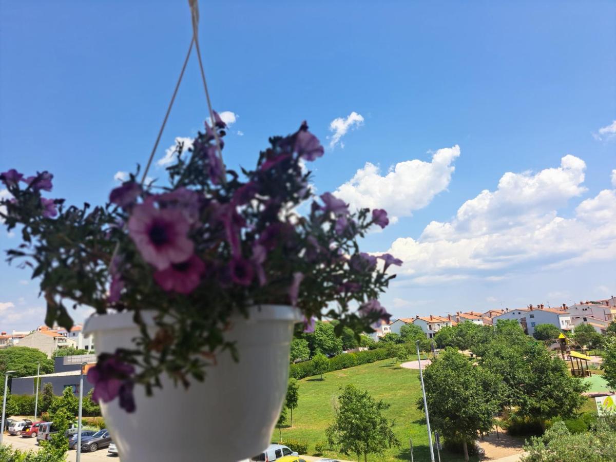 Apartament Battistella'S Near The Sea Rovinj Zewnętrze zdjęcie